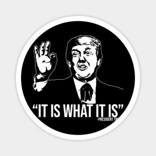 It Is What It Is Magnet